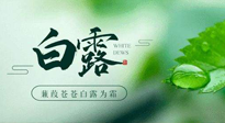 【二十四節(jié)氣灸】白露涼爽，養(yǎng)心肝脾胃、滋陰潤(rùn)肺是關(guān)鍵！