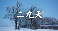 【三九養(yǎng)生】冬二九，扶陽(yáng)補(bǔ)腎氣，讓你陽(yáng)氣充足一整年！