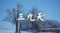 【三九養(yǎng)生】冬三九，三九第三灸，一年中最后艾灸黃金9天！