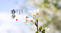 【二十四節(jié)氣灸】春分，平分了大地晝夜；艾灸，平衡了身體陰陽！