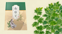 【行業(yè)資訊】國(guó)內(nèi)首部艾草專著《南陽(yáng)艾》，在南陽(yáng)新書首發(fā)！