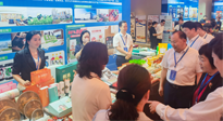 【行業(yè)資訊】南陽攜超千款名優(yōu)產(chǎn)品在廣州開展產(chǎn)銷對(duì)接，仙草艾首次亮相大灣區(qū)！